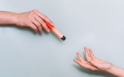 Elf Bar Disposable Vapes